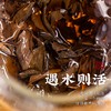 福鼎老白茶 【识年】2013年寿眉茶饼（品鉴装） 商品缩略图3