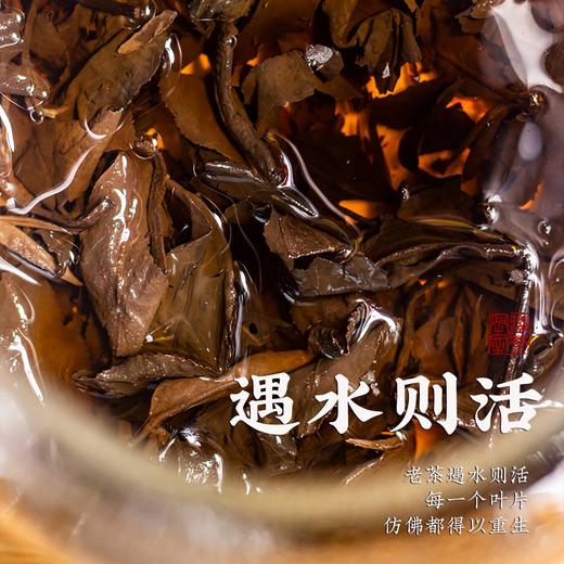 福鼎老白茶 【识年】2013年寿眉茶饼（品鉴装） 商品图3