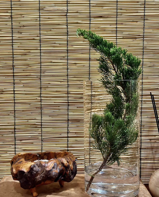 【叶材】龙柏松   若干枝/扎 商品图4