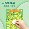 saalin莎林分龄进阶思维迷宫训练卡可反复擦写儿童专注力益智玩具 商品缩略图4