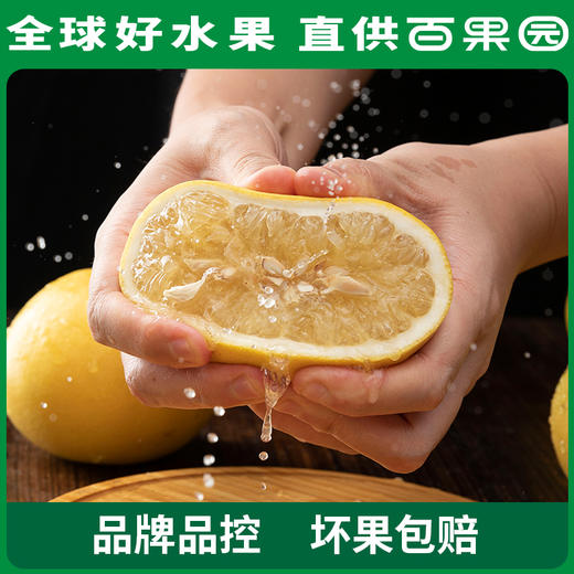 PAGODA百果园 黄金葡萄柚4.5斤彩箱装 商品图4