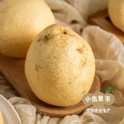 太行山有机酥梨 5斤 | 合作农友生产，产自山西黎城，生产者：张韶明 *【公平贸易农人定价】 商品图5