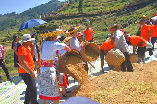 奥谱隆山背香米 高山梯田 传统耕种 山泉灌溉 商品图2