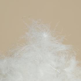 一床好的鹅绒被，经得起时间的考验