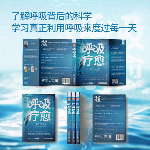 呼吸疗愈：通过有意识地呼吸，激活身体自愈力，找回内心平静（微反应科学研究院院长姜振宇、BBC、Vogue力荐）——刘亿蔓老师推荐 商品图3