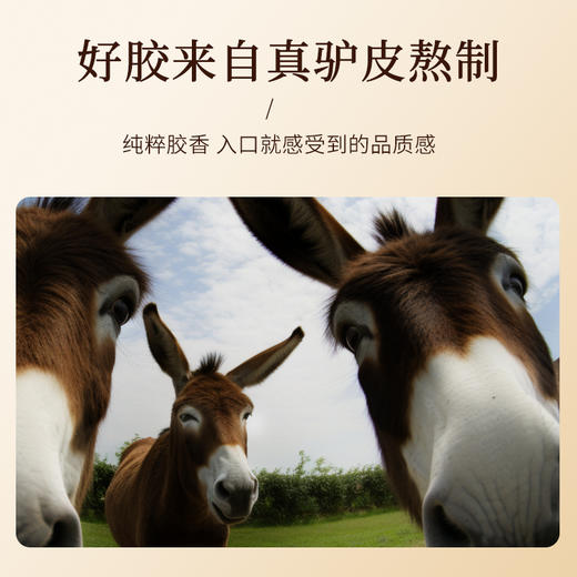 【正宗同仁堂品牌】北京同仁堂 阿胶糕-300克 送礼盒 东阿水熬制 15%含量  独立包装 SY 商品图2