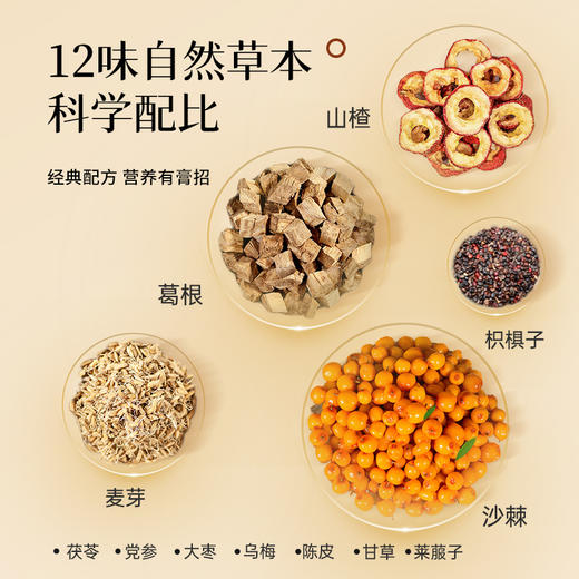 【买一送一】葛根沙棘膏（名医）300g（10g*30袋）/盒 气色红润调理应酬体虚口干饮食油腻润养身体滋补名医膏方 商品图5