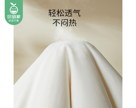 【预售-12月29日配送】佳丽斯60支全棉植物大豆被（暖冬被）/1件（220*240cm，总重约3.5kg） 商品图4