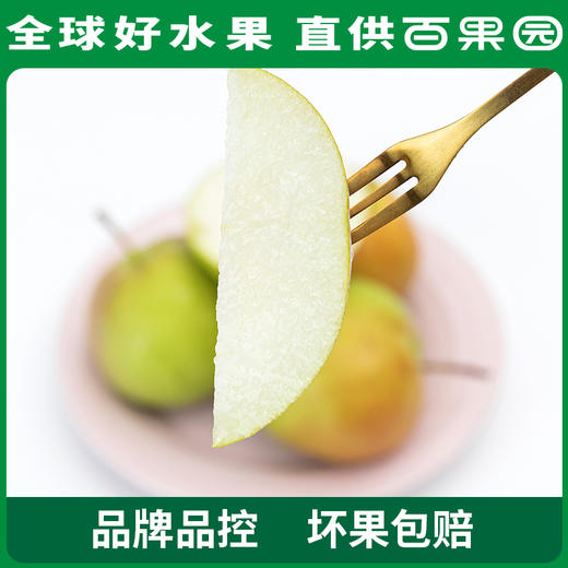 PAGODA百果园 玉露香梨4.5斤家庭装 商品图2