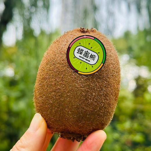 🌹蜂蜜熊•金福猕猴桃礼盒🥝入口即化的口感，在国产猕猴桃里名列前茅皮薄肉厚汁多，一口下去，满口香甜热量低，吃再多也不会胖♥️😍每天两颗和家人一起补充维C~ 商品图1