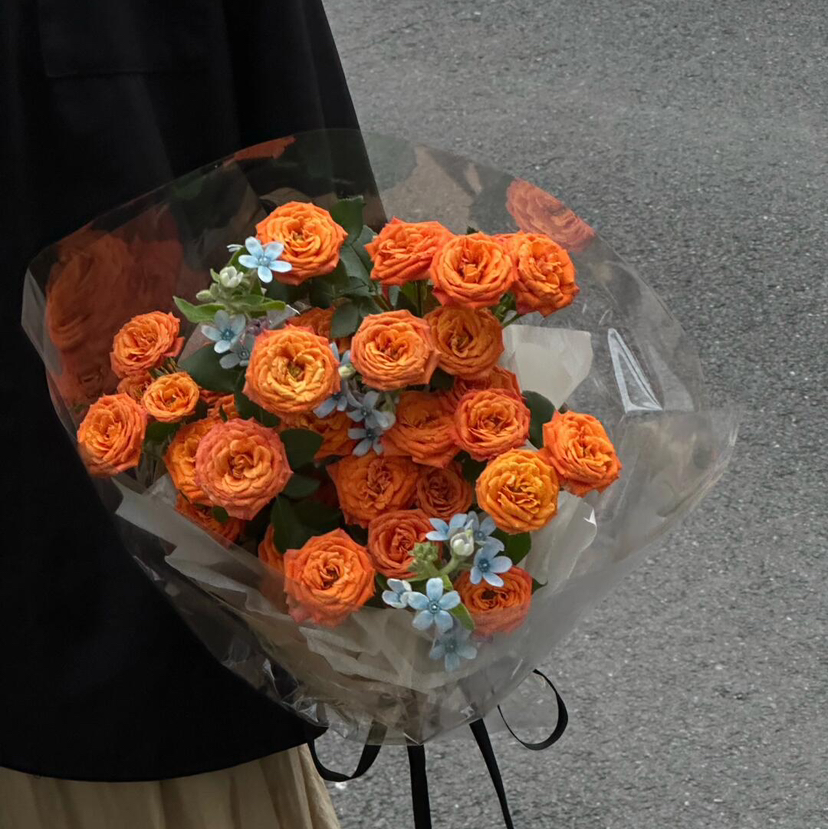【橙光】橙色芭比多头玫瑰5支+蓝星花3-5支（发货不带图中包装）