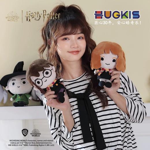 皓奇乐哈利波特系列 商品图3