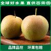 PAGODA百果园 玉露香梨4.5斤家庭装 商品缩略图0