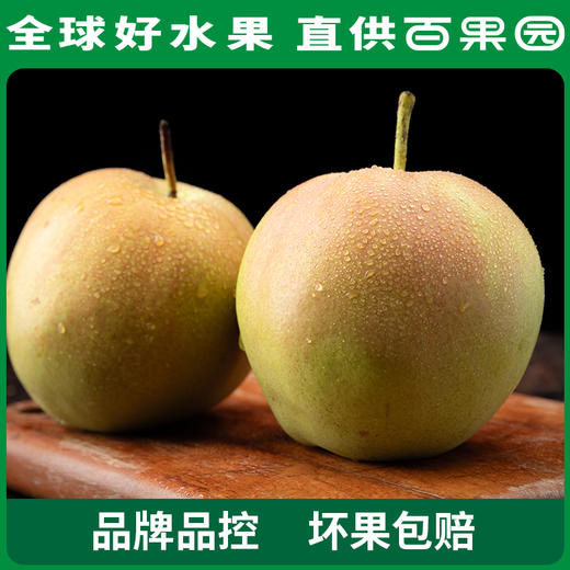 PAGODA百果园 玉露香梨4.5斤家庭装 商品图0