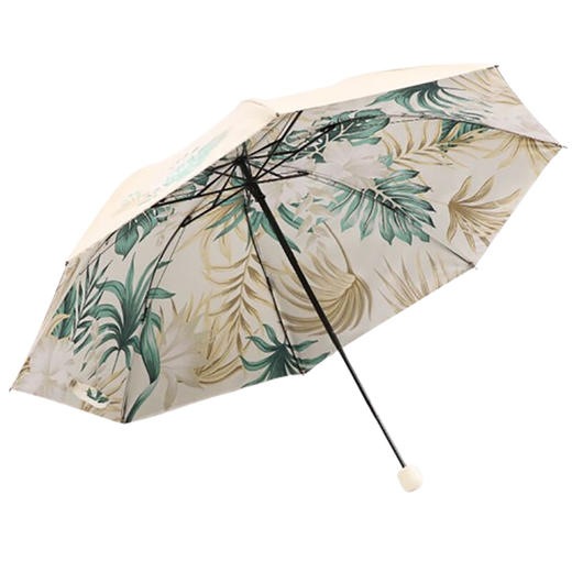 天堂伞30998E蕉叶 商品图4
