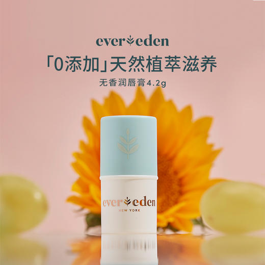 【官方商城】Evereden安唯伊婴儿唇膏无香4.2g 商品图0