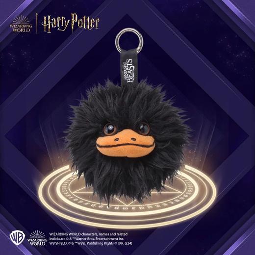 皓奇乐哈利波特系列 商品图7