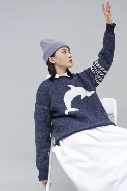 HAYES 海豚图案针织上衣 10860 商品图1