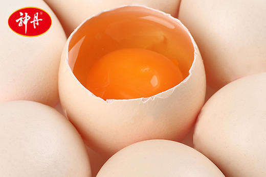 [神丹]初产蛋谷物喂养无抗生素新鲜鸡蛋40枚/盒 商品图3