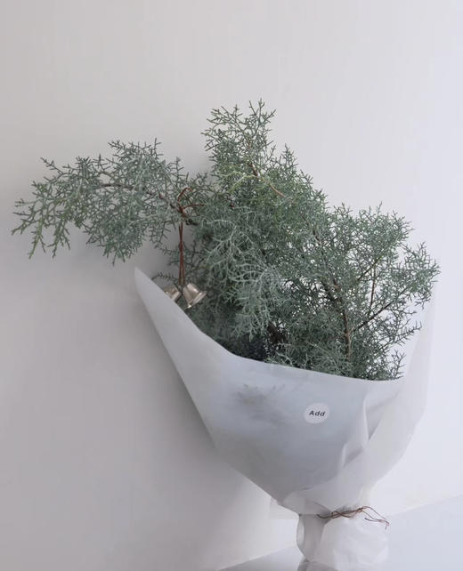 【叶材】银松（雪花松 )扎 商品图0