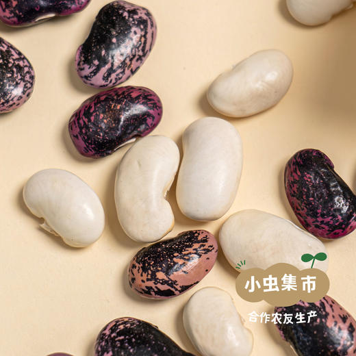 大兴安岭生态大芸豆（紫白混装） 270g/袋 | 合作农友生产，来自大兴安岭古源镇，生产者：柳树 &【公平贸易农人定价】 商品图7
