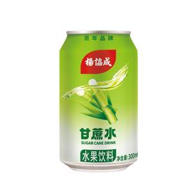 杨协成 甘蔗水饮料 300ml/厅