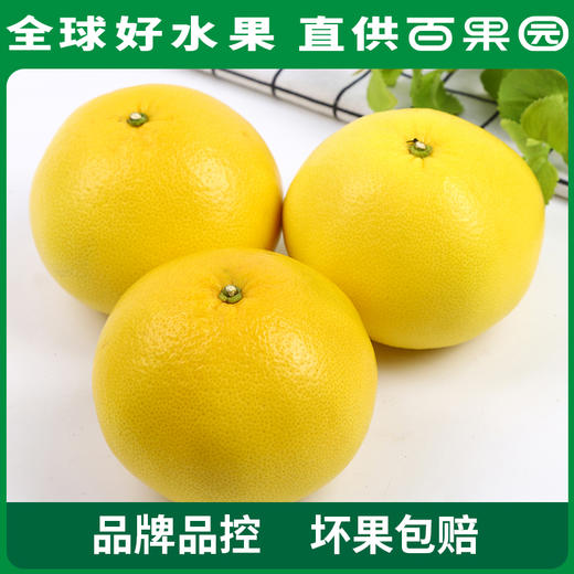 PAGODA百果园 黄金葡萄柚4.5斤彩箱装 商品图0