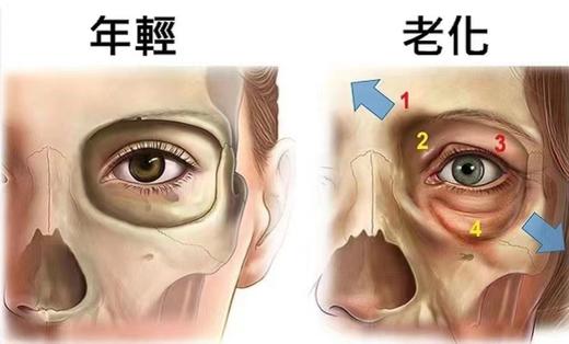 【会员专享】🔥🔥YOKY&露千儿 PQQ多重胶原蛋白肽时光嘭弹饮30ml*8 商品图4