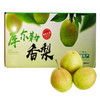 【顺丰快递】新疆库尔勒香梨 甘露香梨 现摘现发 皮薄肉细无渣 整箱发货 商品缩略图0