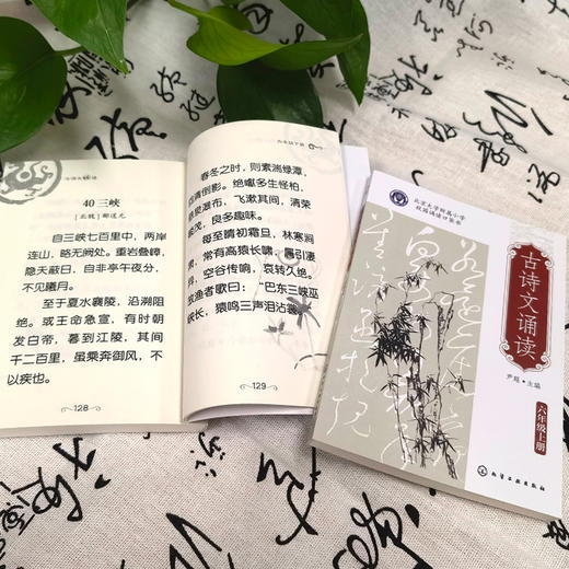 《古诗文诵读》小学1-6年级（全12册） 商品图11