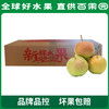 PAGODA百果园 玉露香梨4.5斤家庭装 商品缩略图5