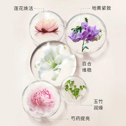 【专柜小样】韩国 SULWHASOO雪花秀 爽肤水/乳液 套装 (15ml+15ml) 商品图5