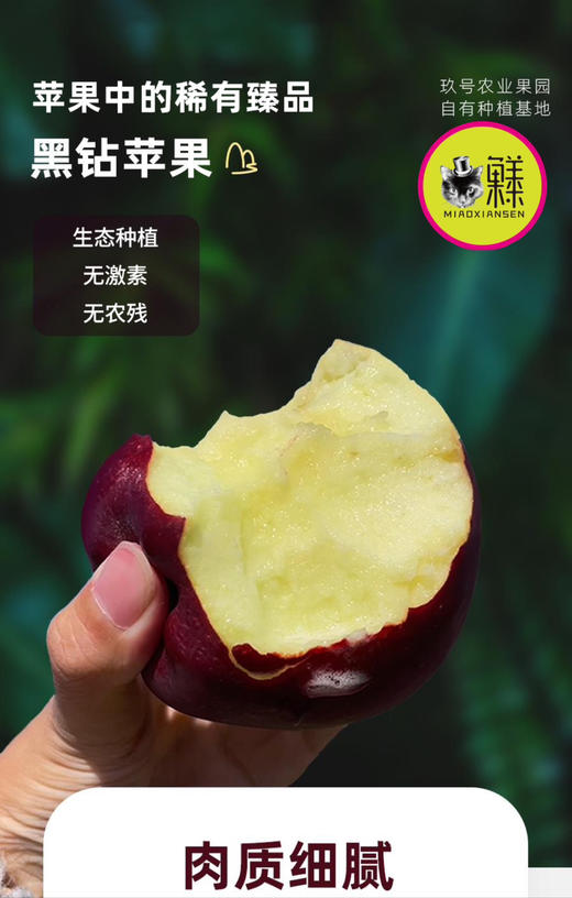 喵菓基地～甘肃天水黑钻苹果（礼盒5-6斤装12枚）全国包邮 商品图8