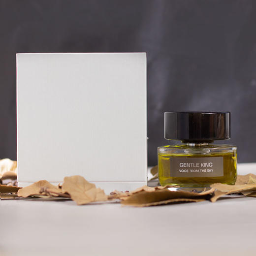 天乐 温柔的狮 Voice From The Sky Gentle King 分装 【恰到好处的动物感，躁动、温柔、狂野、克制】 商品图5