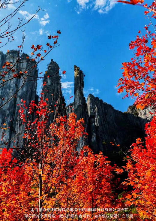 【五星恩施】湖北高铁纯玩品质全景六天 商品图1