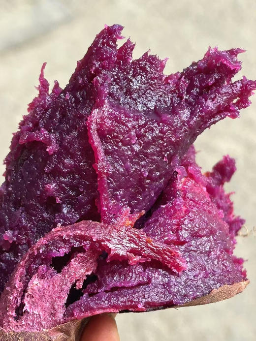 云南玫瑰紫薯 颠覆认知 口感巨好 空气炸锅或者烤箱烤起来 果肉绵软细腻 湿润甜蜜 爱了爱了～ 商品图1