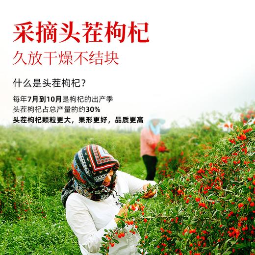 【锁鲜枸杞】肉厚饱满，绵柔甘甜，源自海拔3000米青藏高原，天生就有阳光甜，短时制干，锁住鲜果营养不流失！ 商品图2