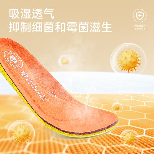 泰兰尼斯ortholite鞋垫秋季新款儿童透气缓震男宝宝赤足鞋垫女童 商品图3