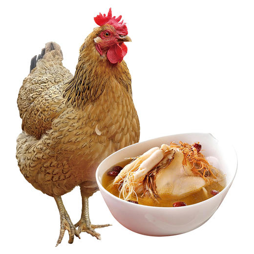 【神丹微信】500天以上老母鸡800g两只 炖汤香 商品图1
