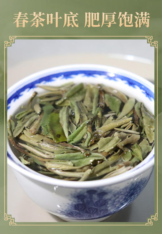 云尖花香 25克 高山白牡丹 商品图5