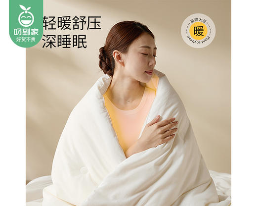 【预售-12月29日配送】佳丽斯60支全棉植物大豆被（暖冬被）/1件（220*240cm，总重约3.5kg） 商品图3