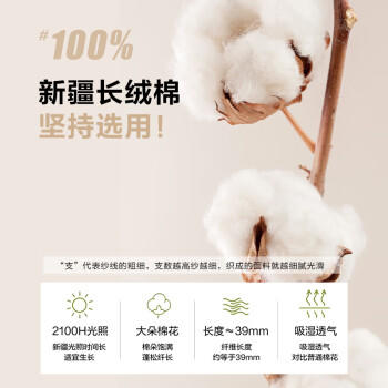 博洋家纺60支新疆长绒棉四件套 吉安纯棉床单被套轻奢全棉套件180cm家居馆 商品图2