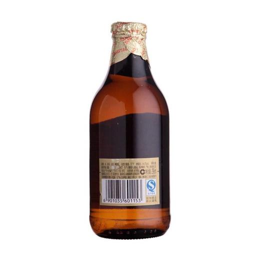 青岛啤酒 棕金11°P啤酒 296ml/瓶 商品图1