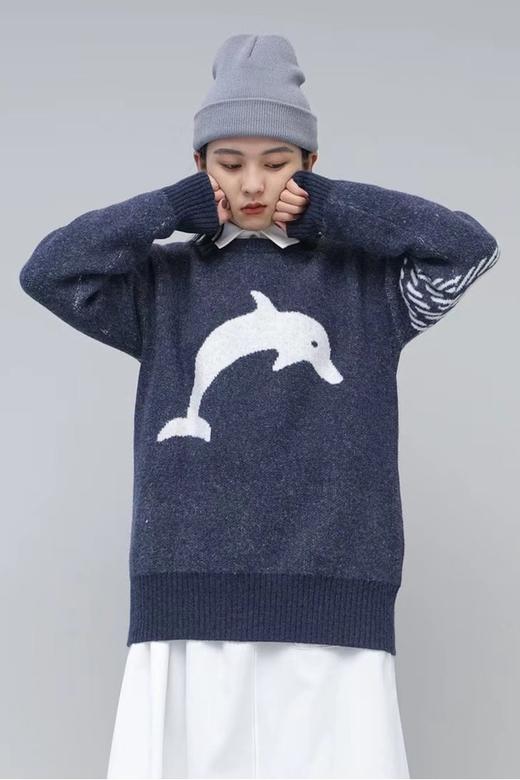 HAYES 海豚图案针织上衣 10860 商品图0