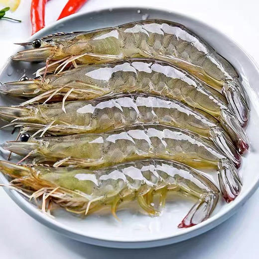 【海鲜】鲜活对虾/基围虾 约250g/份 商品图1