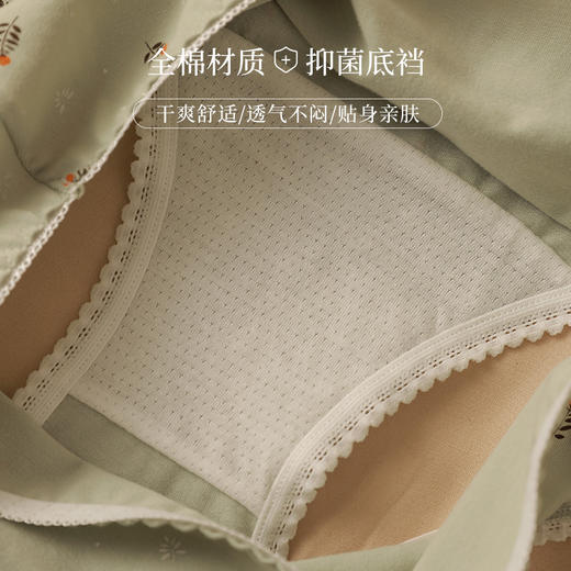 洁丽雅4条装中腰纯棉女士内裤亲肤透气双层纯棉内裆舒适简约三角裤女 商品图1