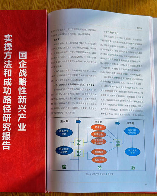 研究报告 《国企战略性新兴产业 实操方法和成功路径研究报告 （2024）》 商品图5
