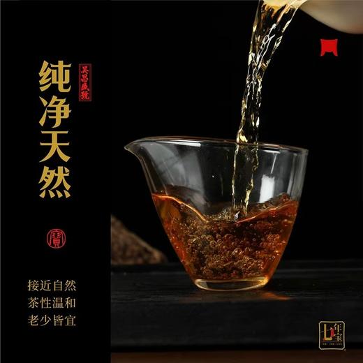 福鼎白茶 | 一叶九鼎 2017年磻溪七年宝 老白茶砖500g/砖 商品图2