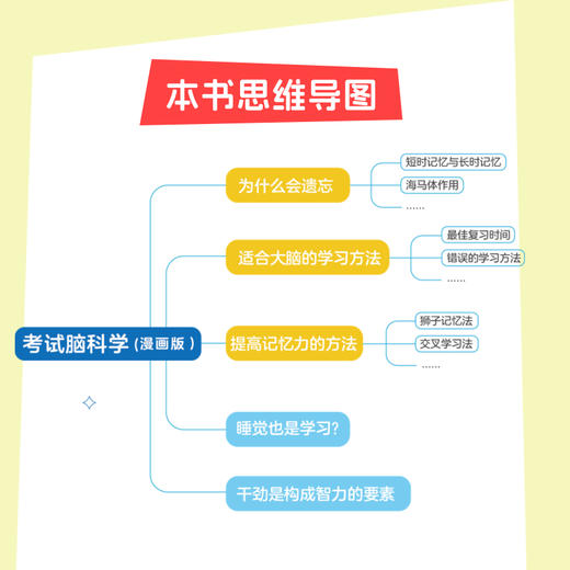 考试脑科学（漫画版） 学习方法 脑力训练 思维训练 记忆力训练 全脑开发 记忆法 中考 高考 考研 四六级 考试 商品图3