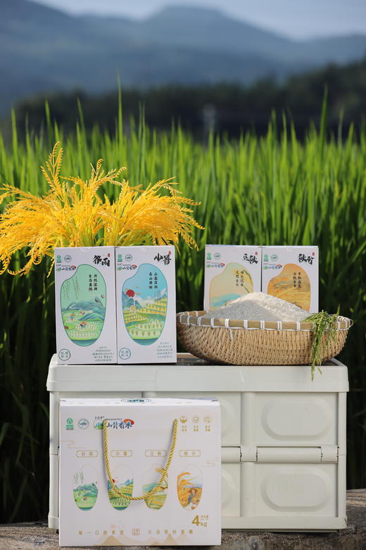 奥谱隆山背香米 高山梯田 传统耕种 山泉灌溉 商品图5